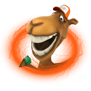 camel