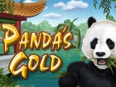 Panda's Gold